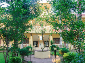 Hotel Rainforest