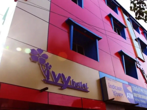 Deteex Hotel Ivy