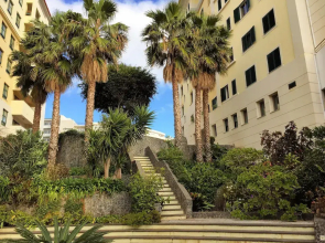 Superior Rentals in Madeira - Lido