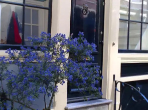 Authentic Jordaan Apartment