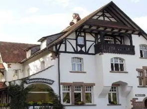 Dammenmühle
