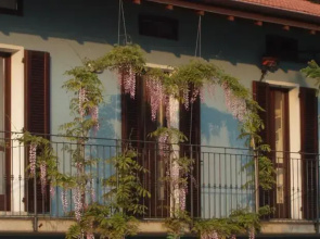 Bed and Breakfast del Viandante