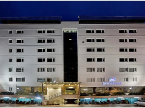 Svn Grand