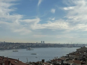 Roj Suite