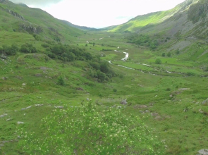 Snowdonia Mountain Lodge