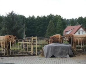 Ferienwohnung Vietgest SCHW 021