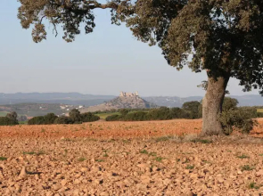 Casa Rural Montecillo Bajo