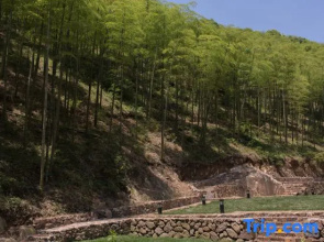 Moganshan Xishang Country Vacation Apartment