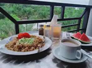 Hanlis Hotel Sampit