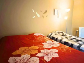 The Cozy Little Home