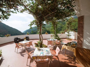B&B Bouganville