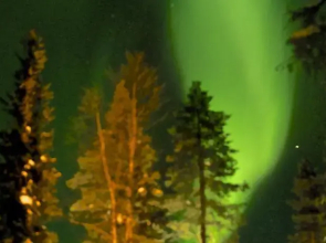 Ruka Safaris - Papin Talo