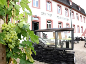 Gasthaus Moselloreley