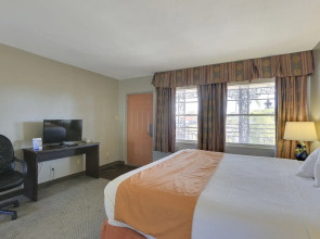 Budget Inn St Petersburg