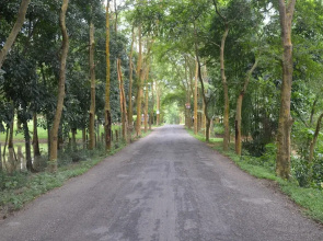 Lawachara Eco Cottage