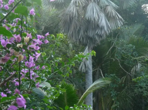 Le Jardin Maore