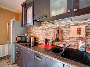 U Ledovogo Dvortsa Apartments