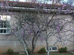 Villa in Redondela, Pontevedra - 102672