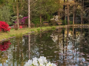 2BR House in Town w/ Laundry, Wifi, Pond