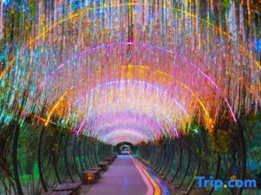 Taihu Bay Camping Valley Car Camping in Changzhou