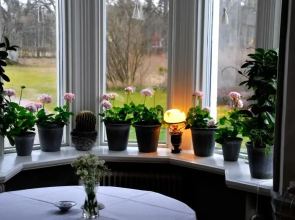 Villa Gransholm