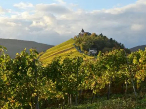 Weingut Rosenbaum