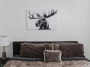 2 Bd 1 BA Apartment in Music City Sleeps 6