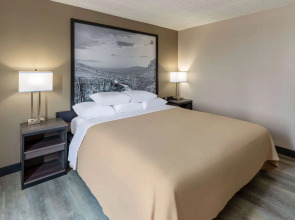 Super 8 by Wyndham Laredo