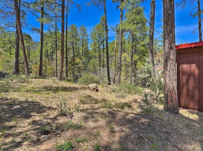 Cabin in Tonto National Forest: Deck & Views!