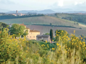 Sanlucchese 2