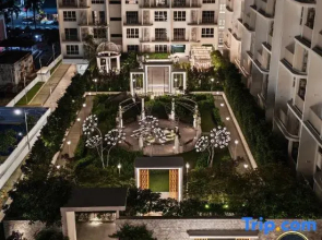 The Stallionz Classy Suites by LH