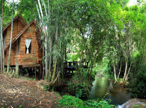 Rabeang Pasak Treehouse Resort