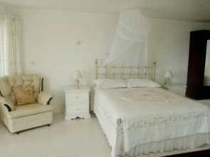 Chesters studio