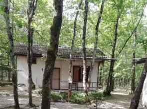 Бунгала Елит 95