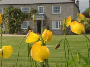 Cadson Manor Self Catering