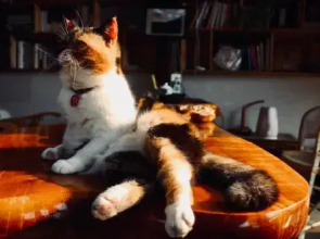 Xian Qing Ou Ji guesthouse