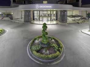 Dedeman Tokat