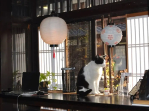 Kyoto Shirakawa Kiraku Inn - Hostel