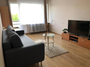 Ergli Apartment