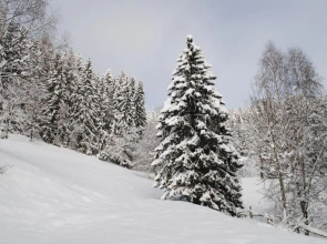 Schlintl-Hof