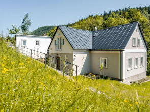 Villa in Bohemia With Sauna