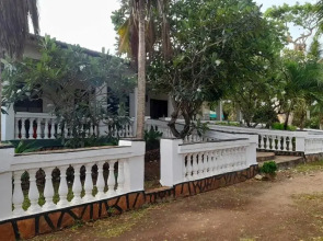 Peters Mansion Bougainvillea Premesis
