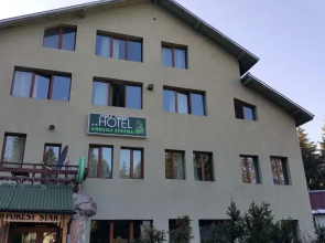 Family Hotel Forest Star