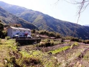 Magao Hostel(桃園馬告山莊民宿)