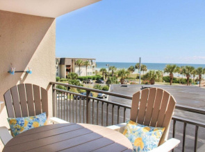 Ocean Forest 309