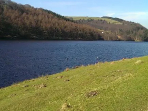 Derwent View