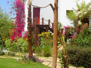 DELTA SHARM RESORT ,Official Web, DELTA RENT, Sharm El Sheikh, South Sinai, Egypt