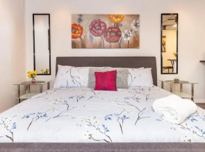 Newly Renovated - Studio Apartment Near Downtown Ottawa