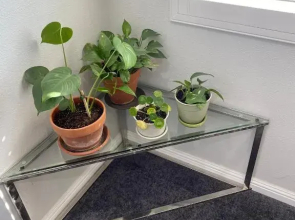 Private Room in Los Angeles with WIFI, Balcony w/ View of Hollywood Sign & Shared Kitchen