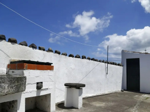 Magnólia